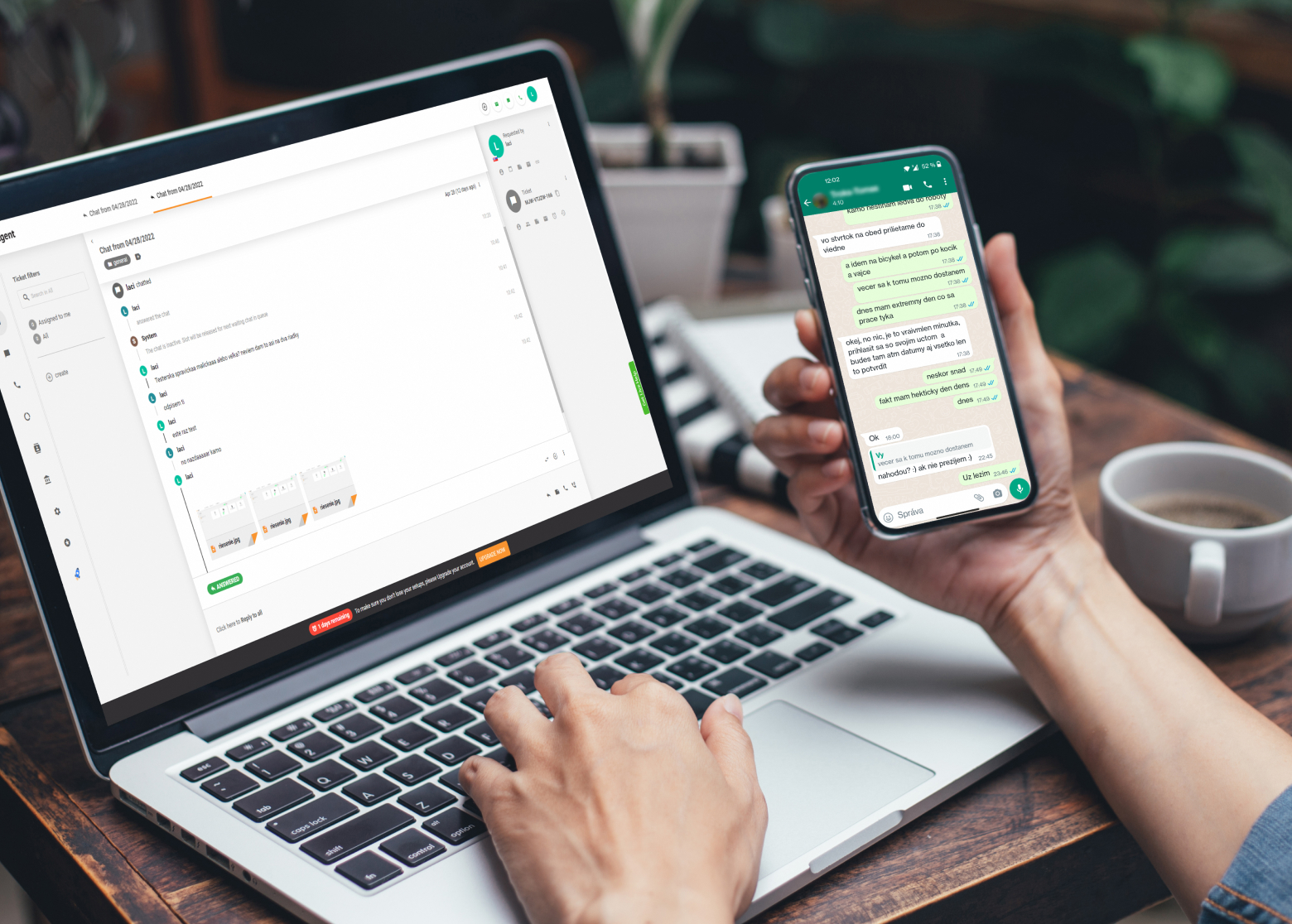 WhatsApp Integration