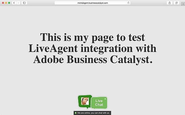 LiveAgent_integratie-Adobe_Business_Catalyst1 LiveAgent Adobe Business Catalyst-integratie