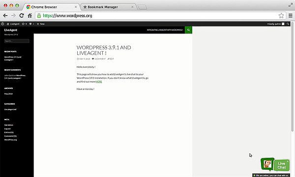 LiveAgent-WordPress-integratie LiveAgent-WordPress-integratie