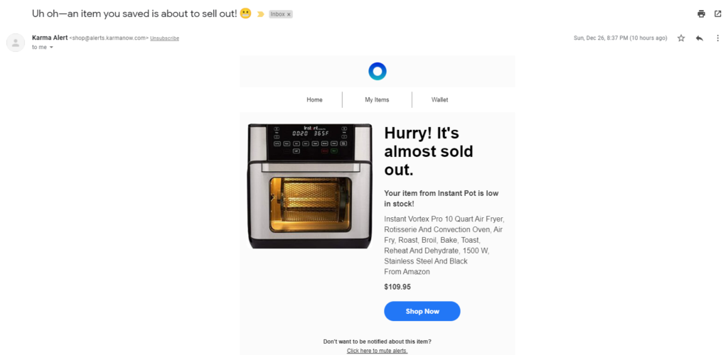 Laatste kans email van Shoptagr